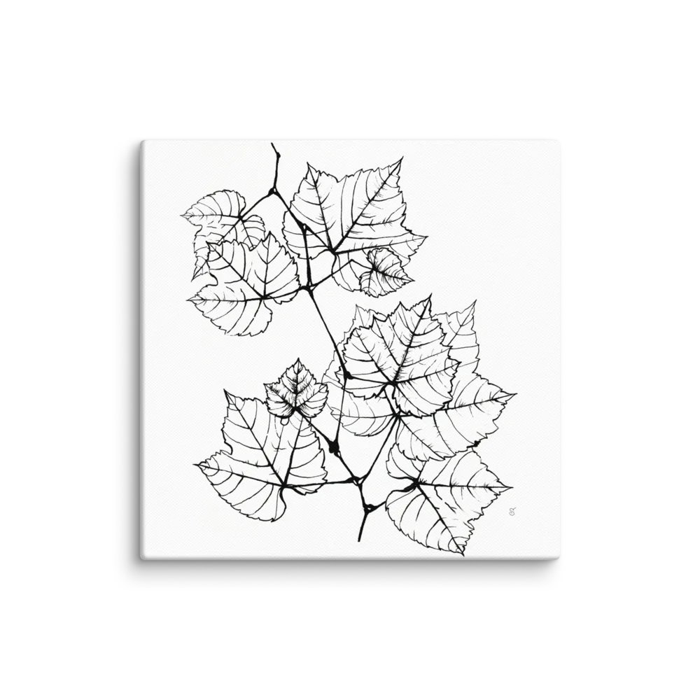 Blank Canvas: Unleash Your Artistic Vision - Grape Leaves Elegant product image (1)