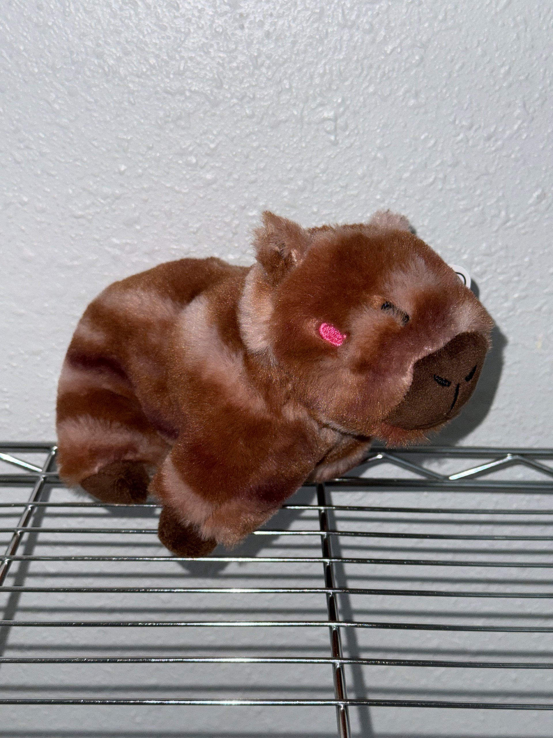 Capybara Plush product image (2)