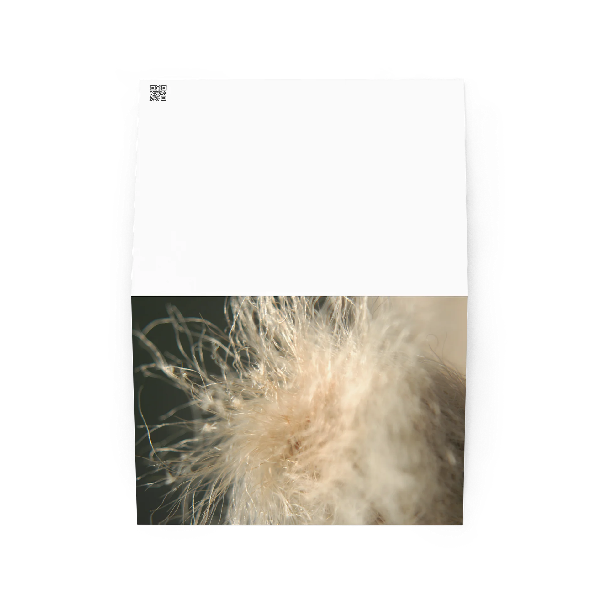fluff — from "holding" | greeting card | eza | casa de karma product image (2)