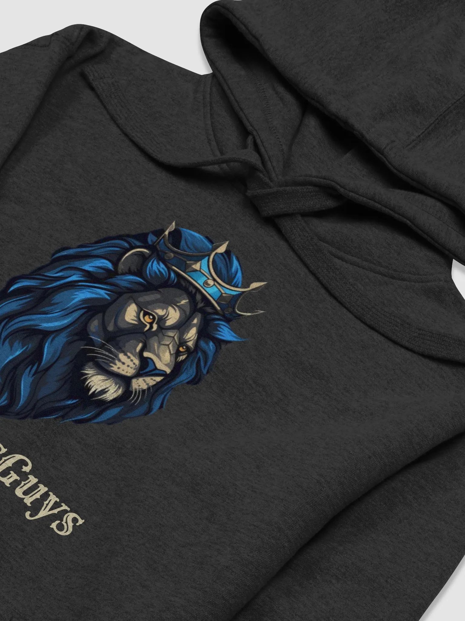 PGM hoodie product image (3)