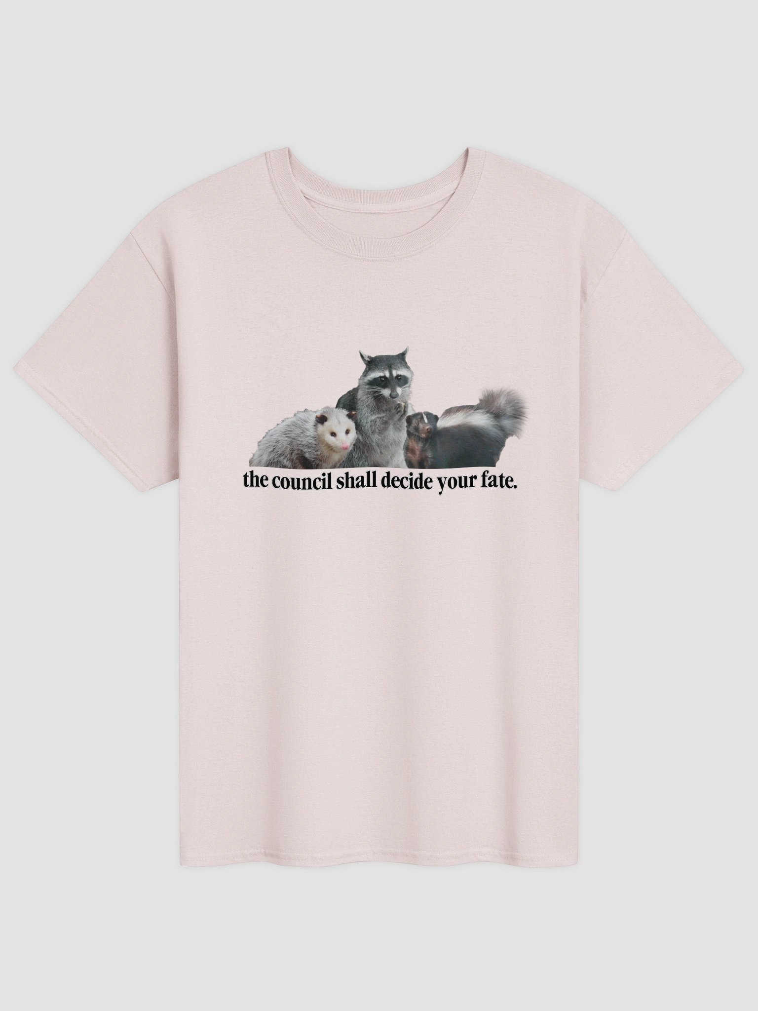The council shall decide your fate T-shirt product image (12)