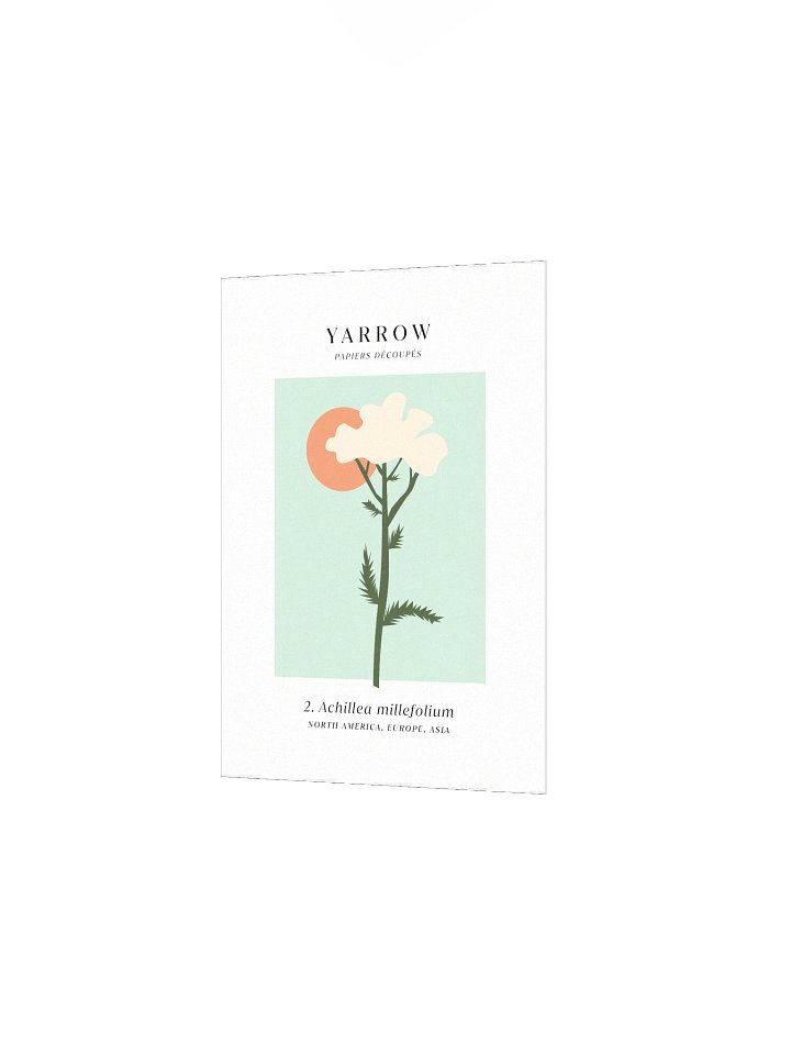 Yarrow Cut Paper Native Plants ✷ Art Print product image (2)