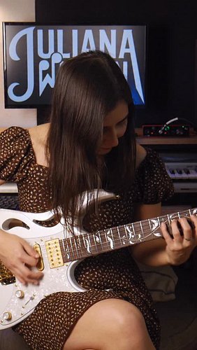 The flight of the bumblebee 🎸🐝