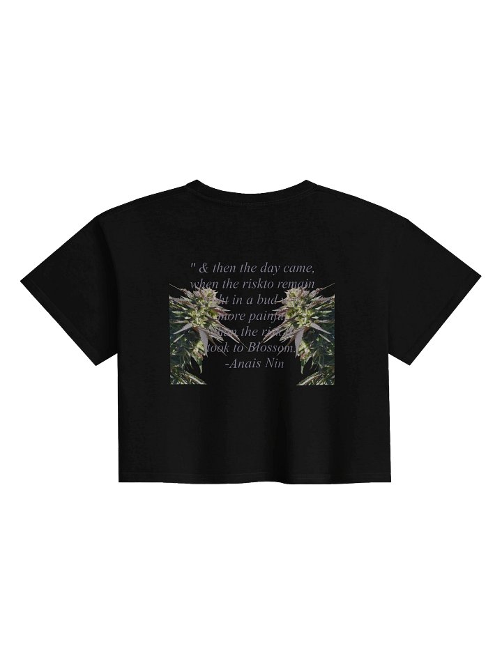 The Cloud of Sacred Herbs product image (14)