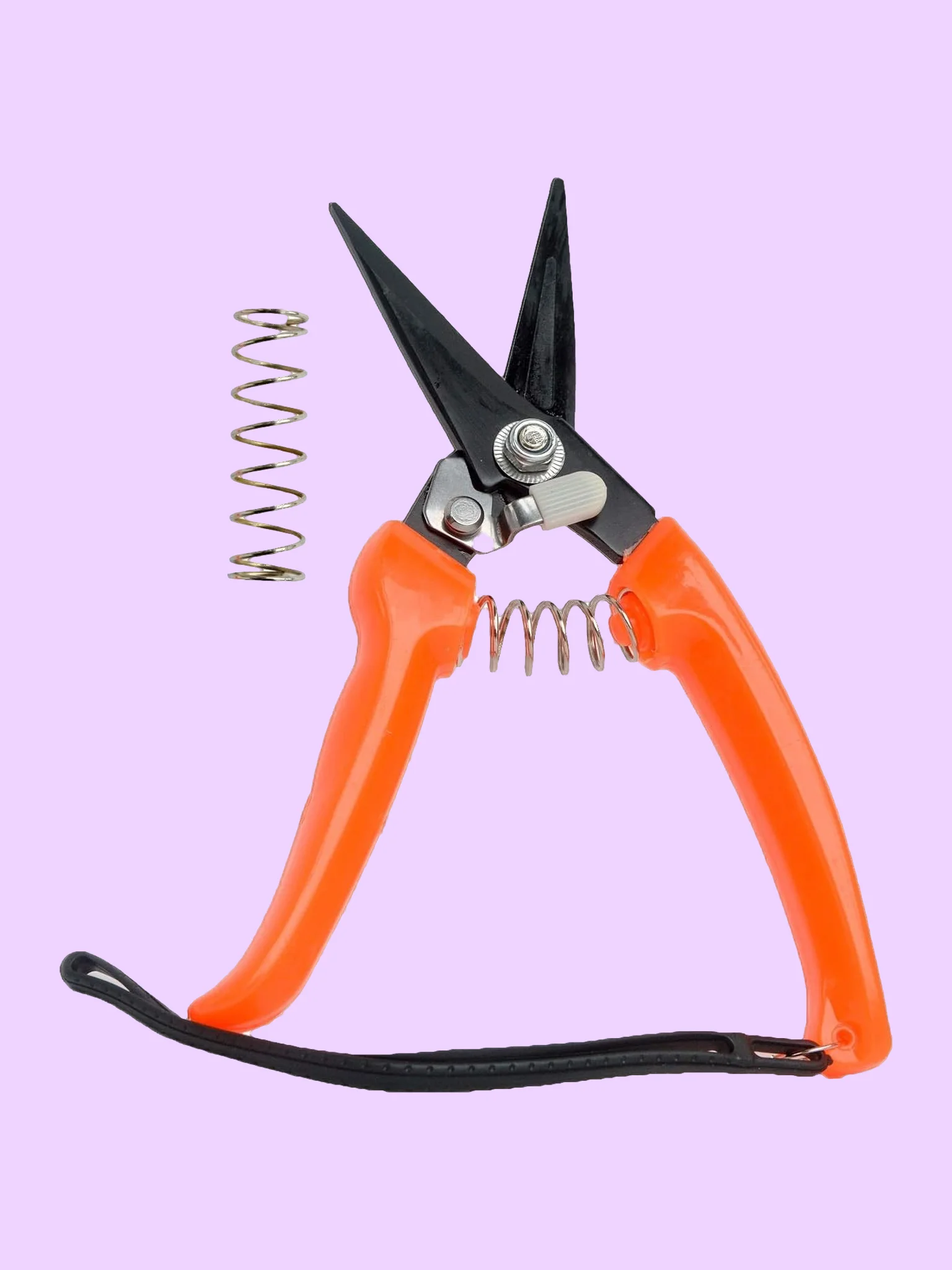 Hoof Trimming Shears for Goats and Sheep product image (1)
