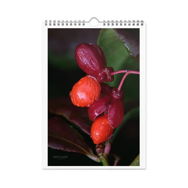 Pure Colors 2025 Wall Calendar product image (1)