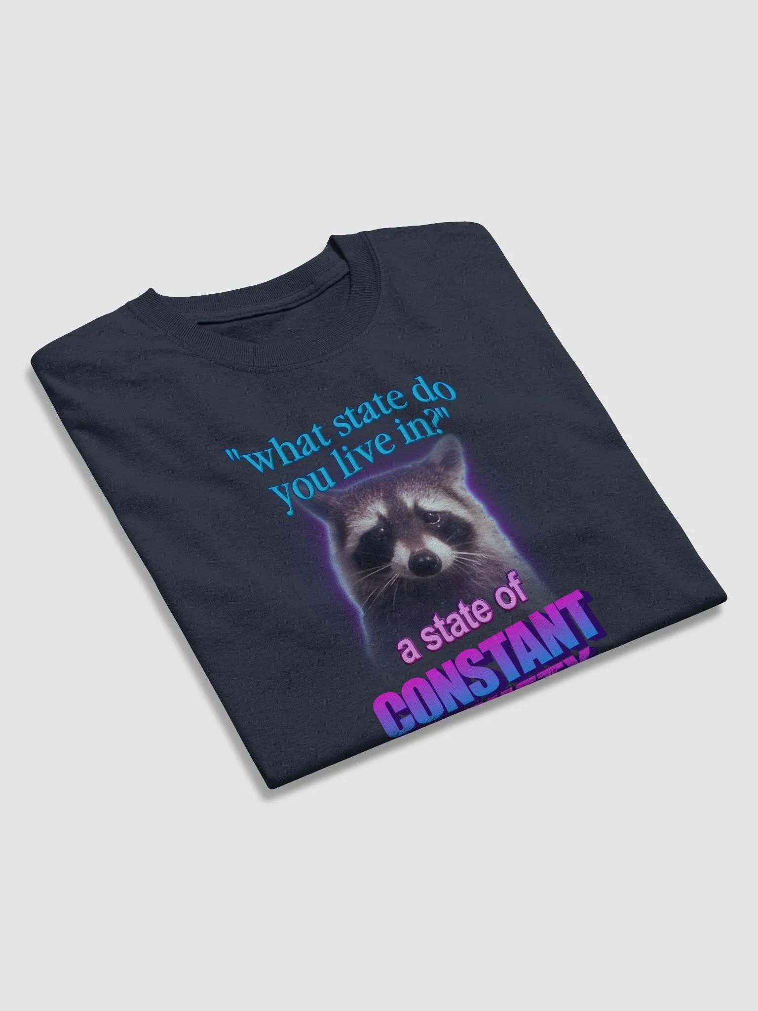 What state do you live in? A state of constant anxiety raccoon T-shirt product image (4)