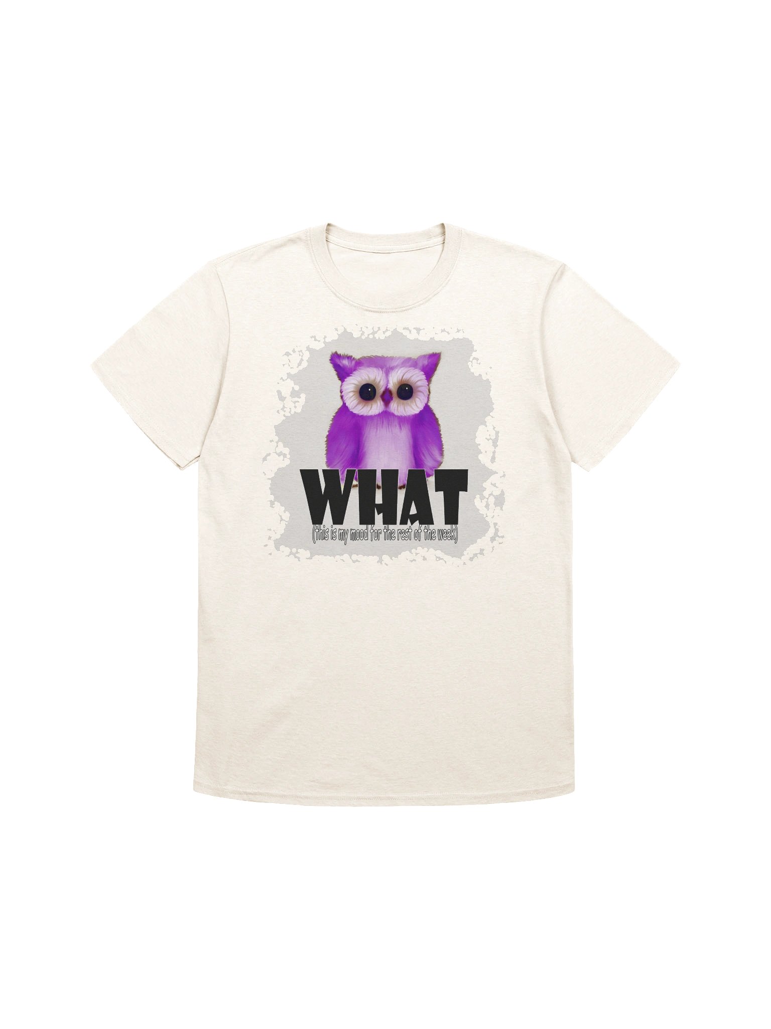 Unisex Gildan Softstyle T-Shirt product image (1)
