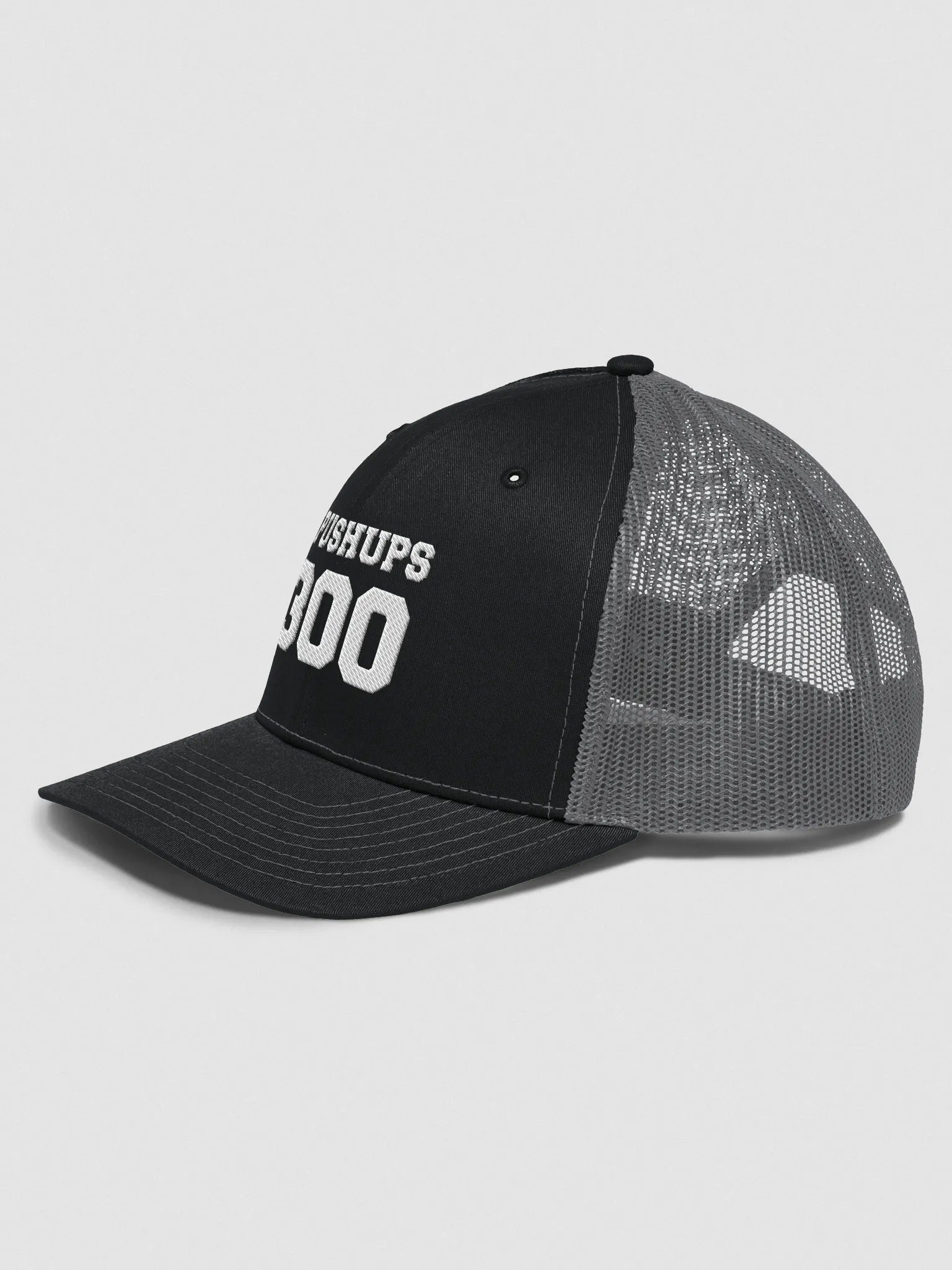 300 PUSHUPS No cap product image (3)