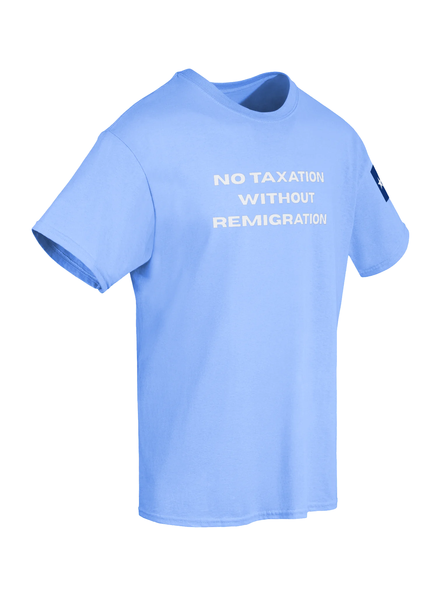 Remigration Tee product image (56)