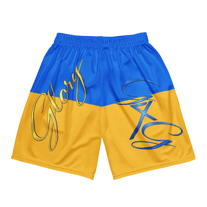 Glory Shorts💙 product image (2)
