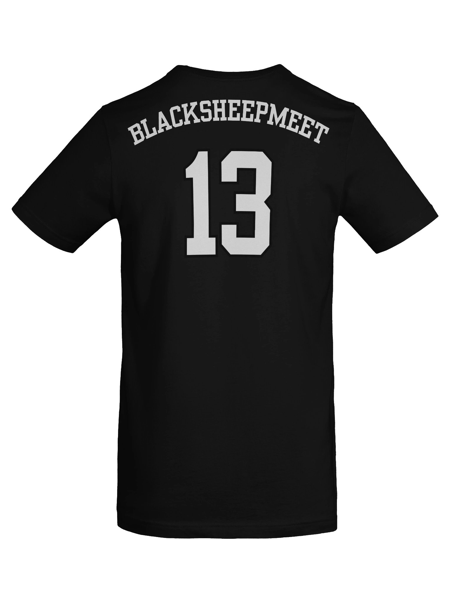BlackSheepMeet Stream Team Edition product image (8)