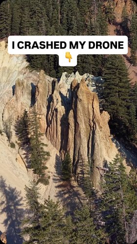 I crashed my drone into the top of a massive sugar pine tree! Do you think i can get it back? #drone #dronelife #dronepilot #...