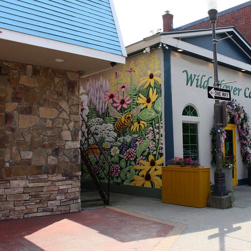 Just wrapped up my first outdoor mural at the Wild Clover Café in downtown Waterville, ME! This painting is my largest ever, ...