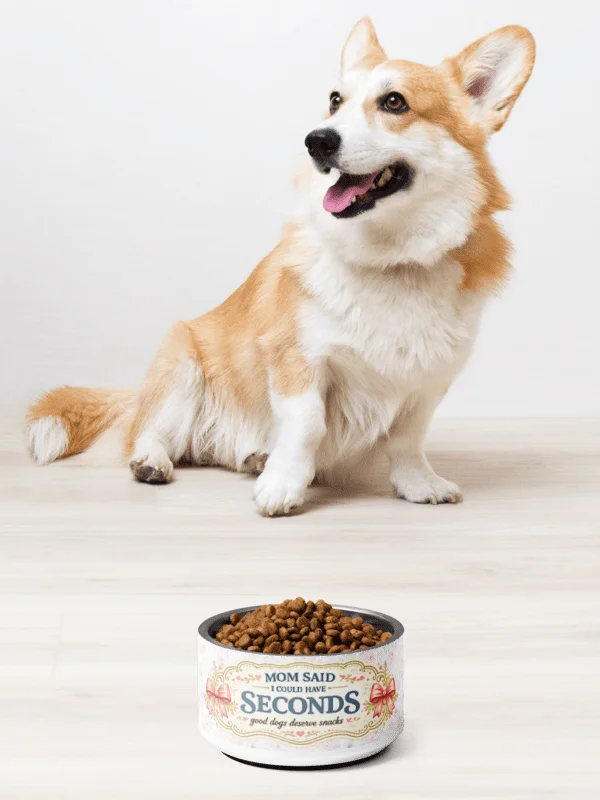 Dog Mom Pet Bowl – Mom Said I Could Have Seconds | Shabby Chic Dog Bowl product image (1)
