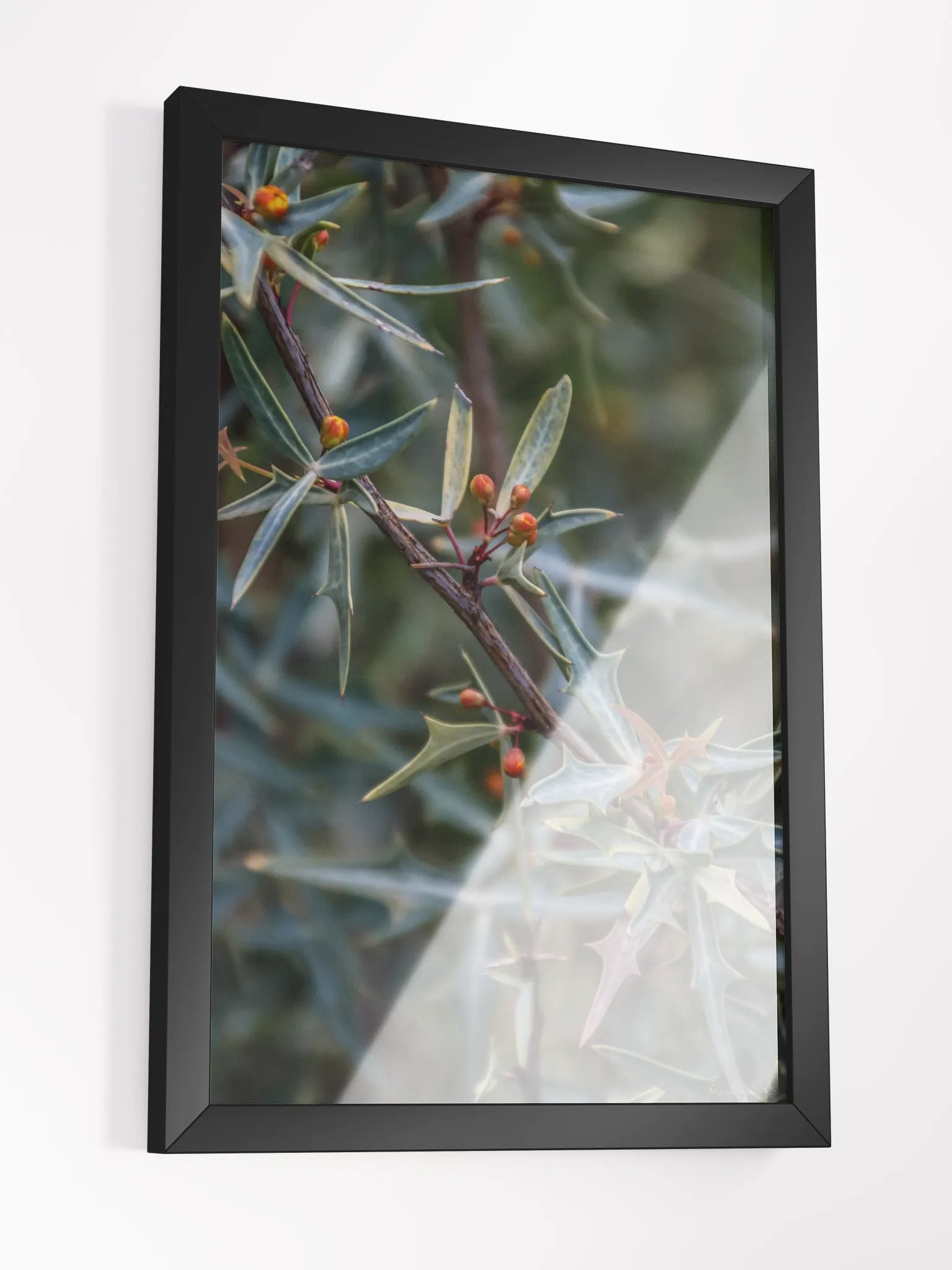 🌿Print Fine Art - Spikes and Secrets 🔒✨ product image (5)