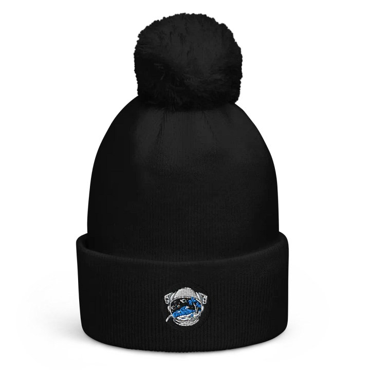 Logo Pompom Hat product image (1)
