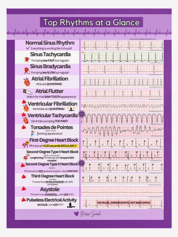  ECG/EKG Ultimate Learning Bundle by Nurse Sarah®  product image (5)