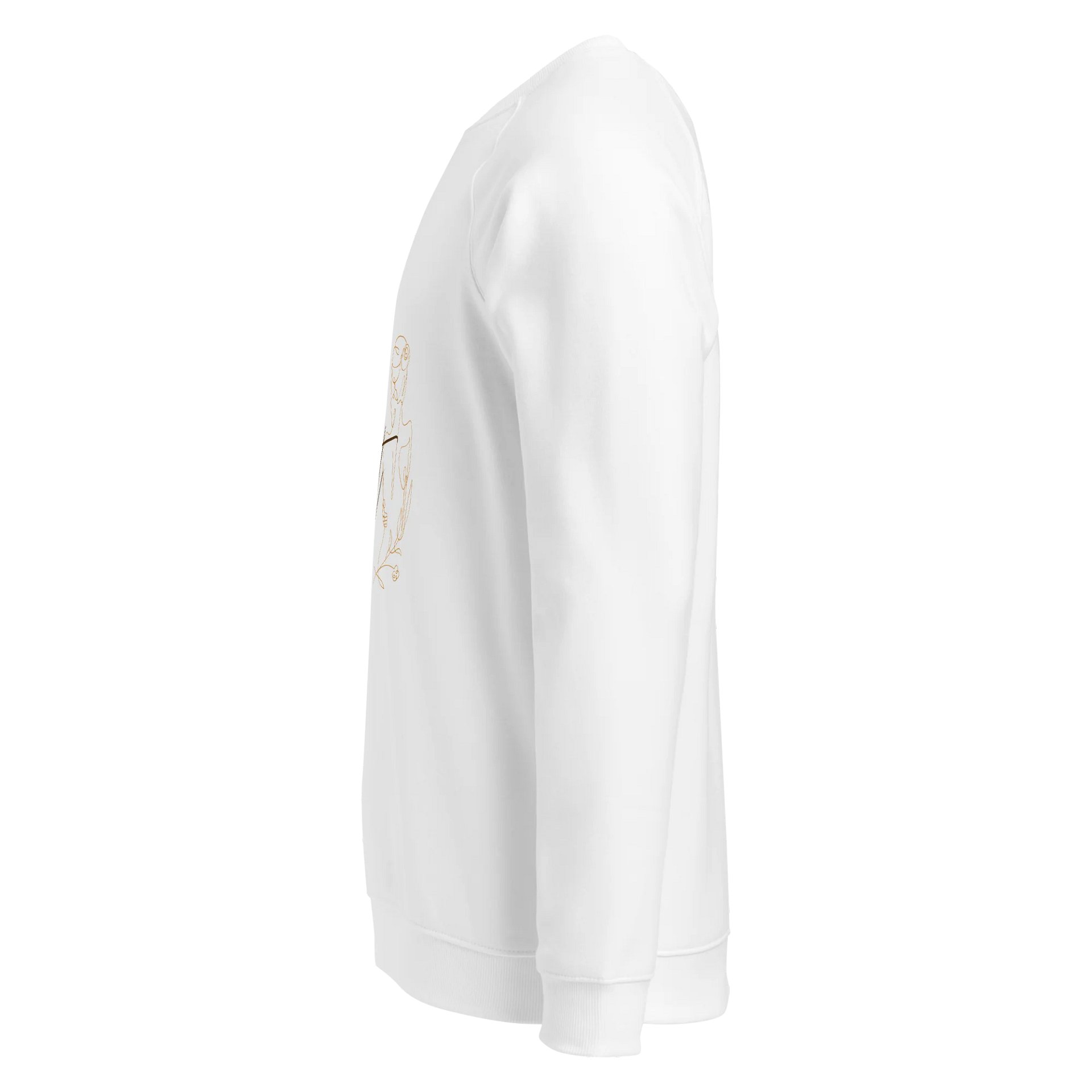Women's Organic Raglan Sweatshirt ORFB0117 product image (4)