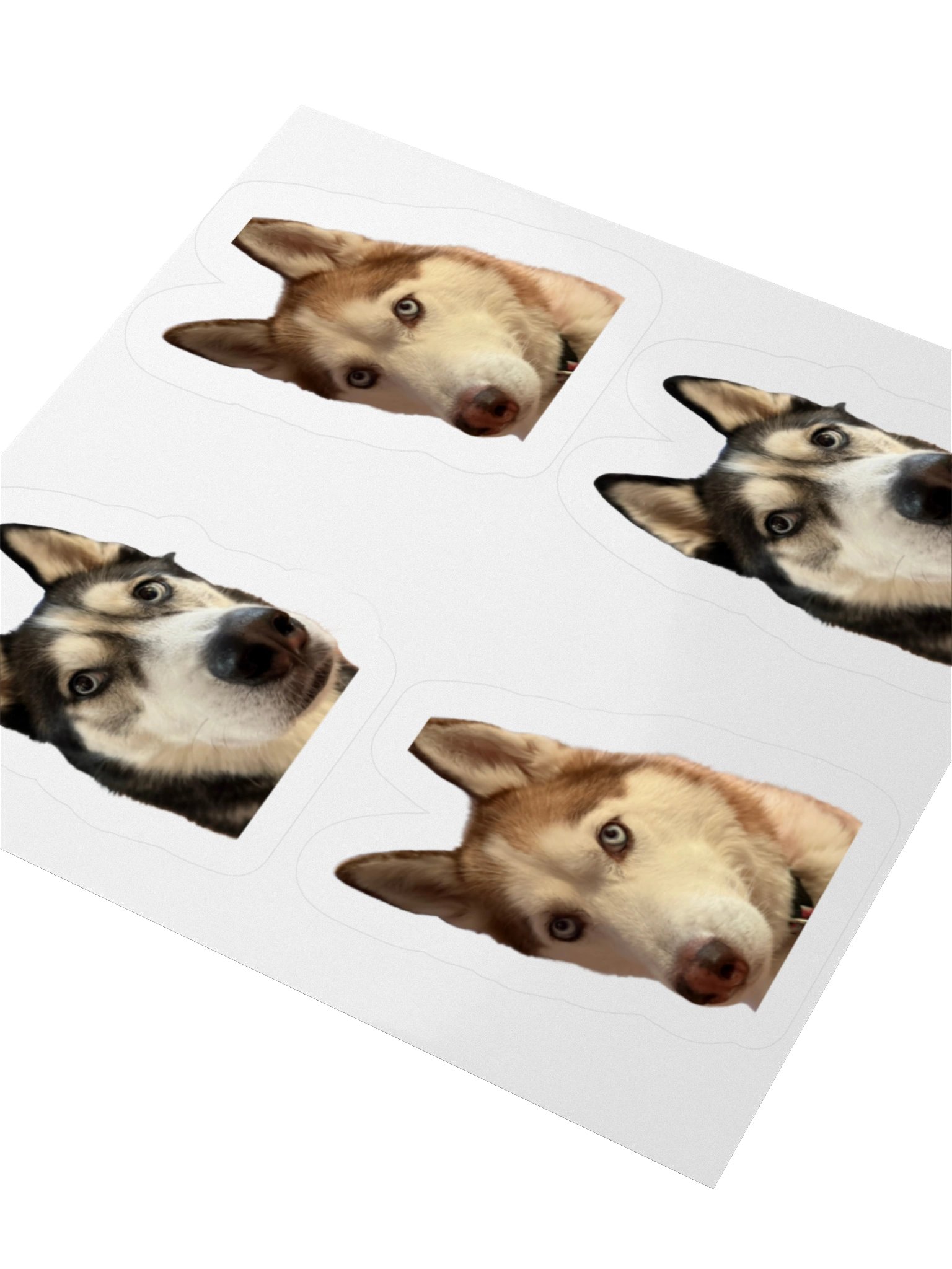 The Huskies Stickers product image (3)