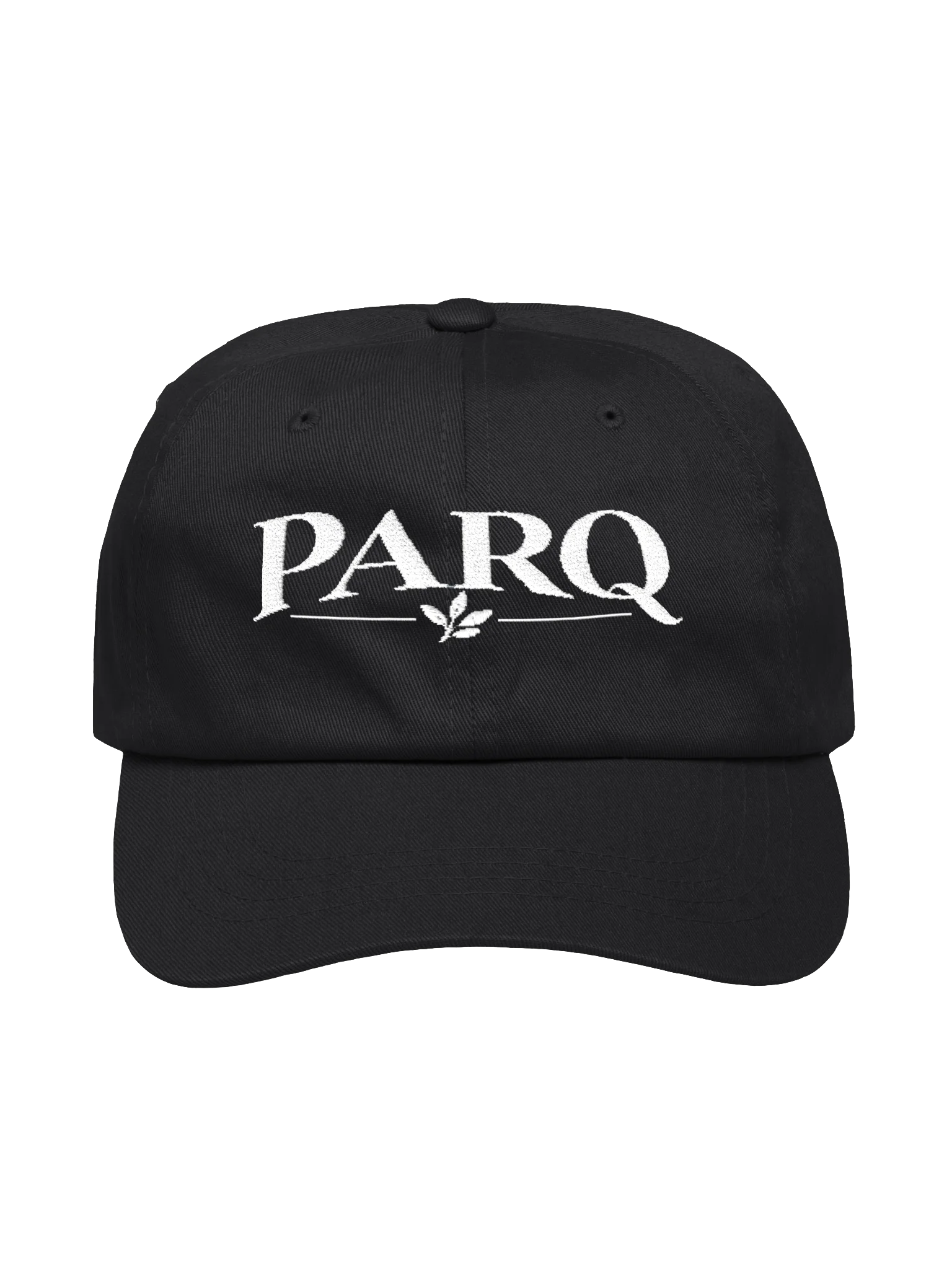 PARQ Dad Hat product image (1)