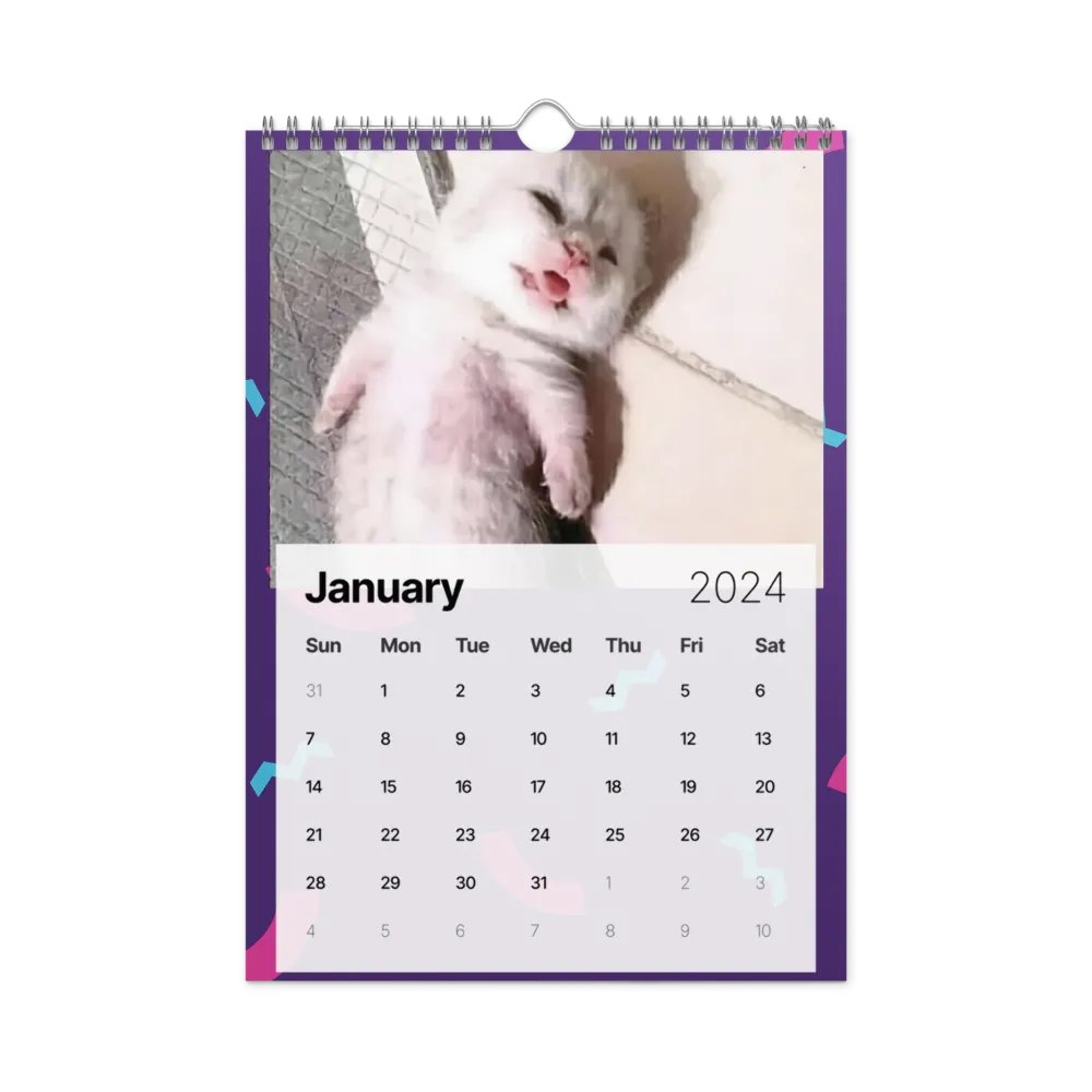 Wall Calendar (2024): Meme Cats product image (8)