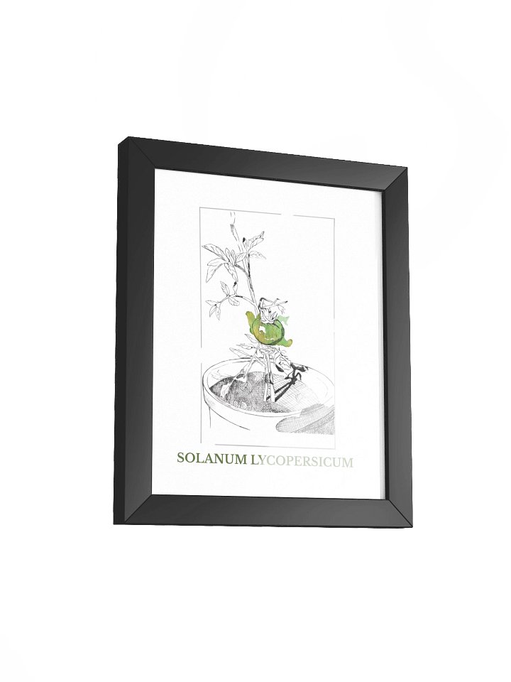 Solanum lycopersicum, fine art canvas (print on demand) product image (2)