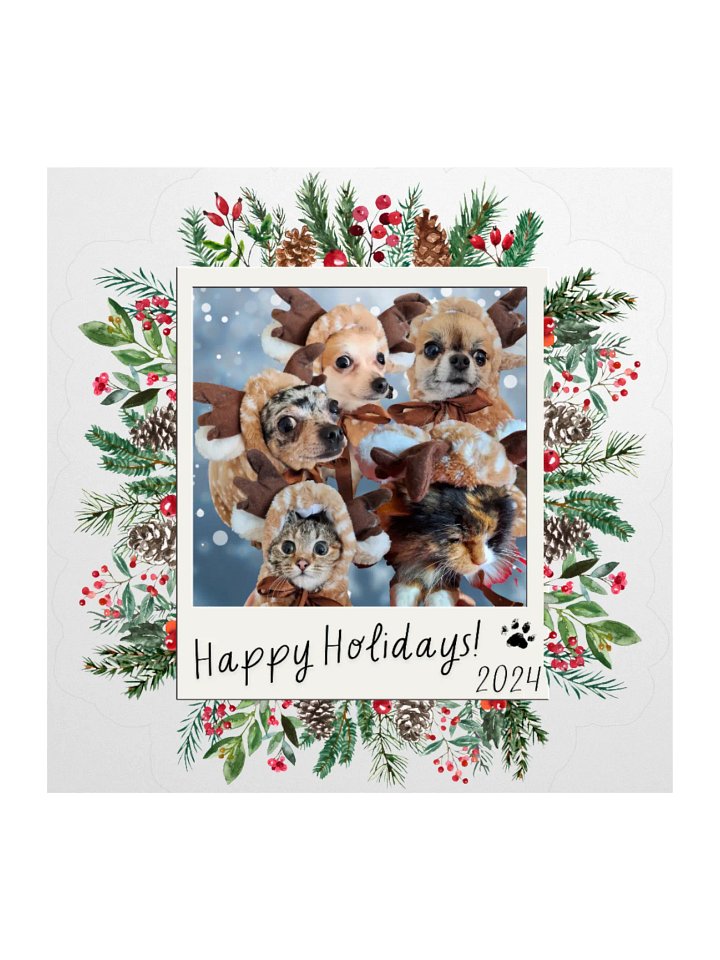 LIMITED EDITION Sticker - Paws [Holidays 2024] product image (1)
