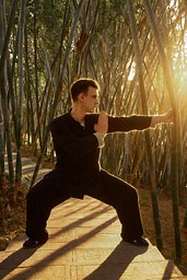 Black Belt