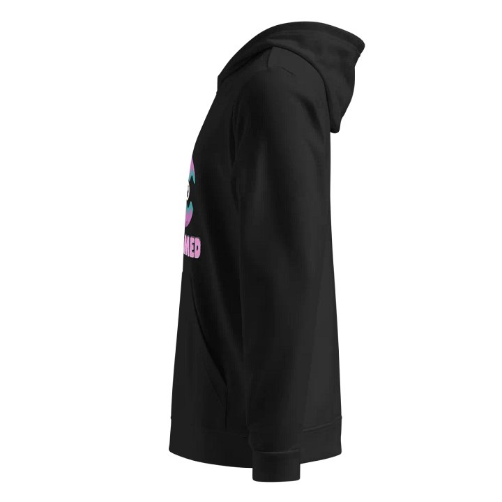 GCS Graphic Hoodie product image (2)