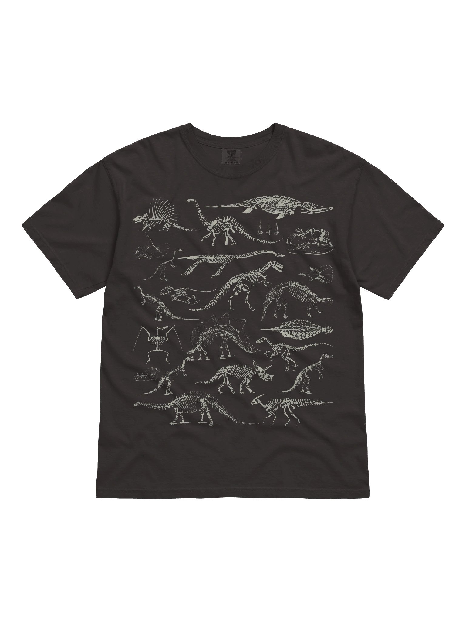 Dark Academia Dinosaur Skeleton Shirt – Vintage Fossil Bones Off-White Graphic Tee product image (21)