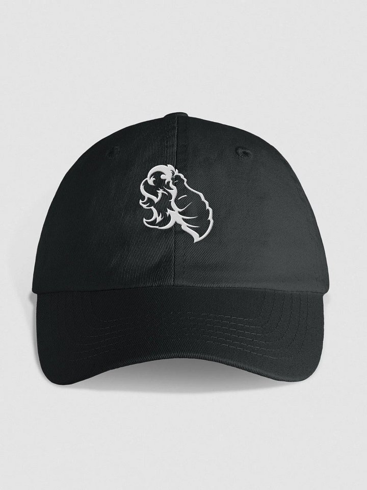 Foundations Embroidered Cap product image (1)