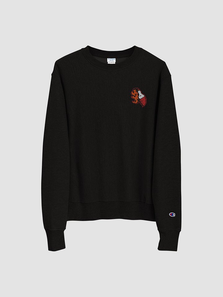 Foundations Molotov Embroidered Champion Sweatshirt product image (2)
