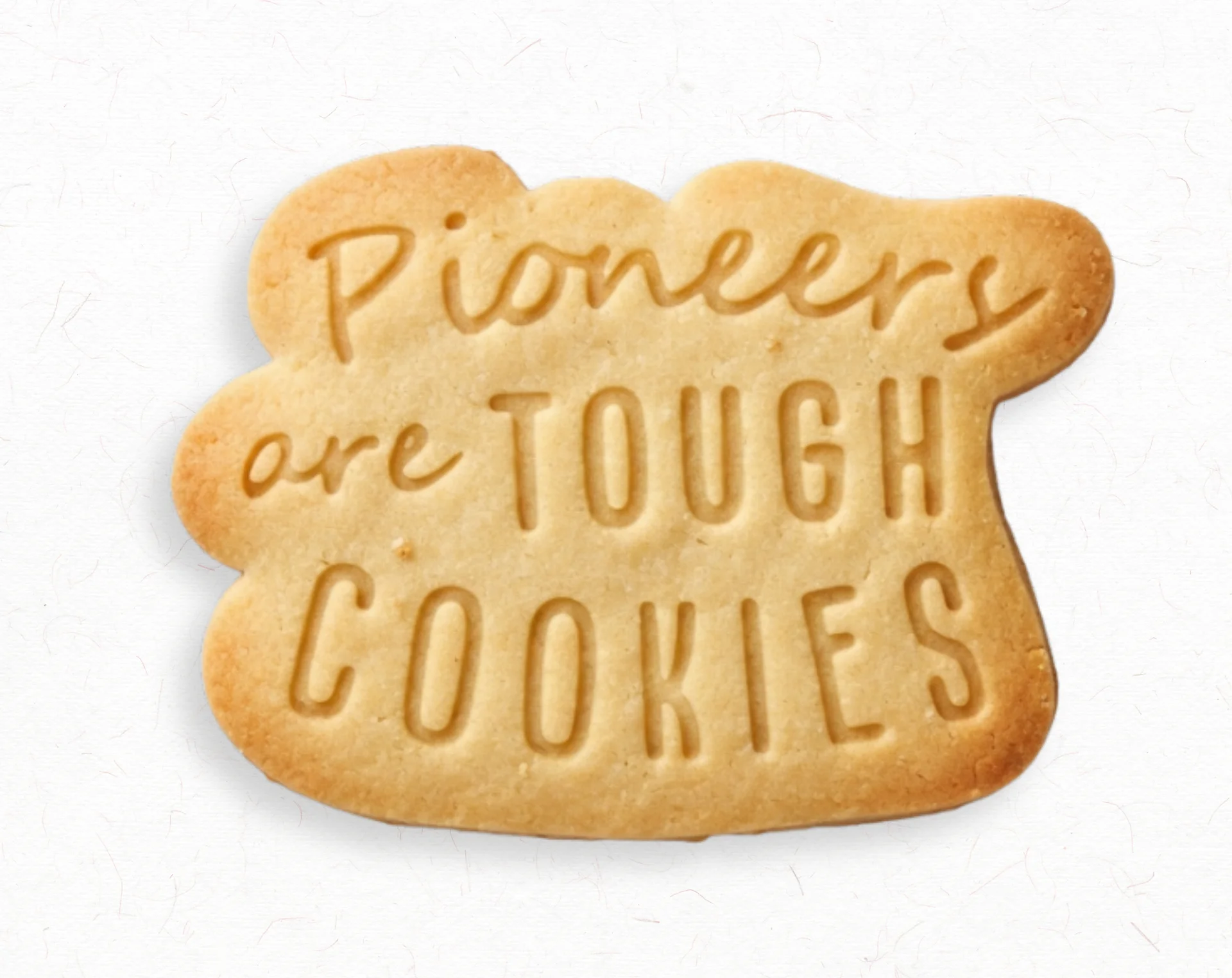 Pioneer Cookie Cutter & Embosser Set