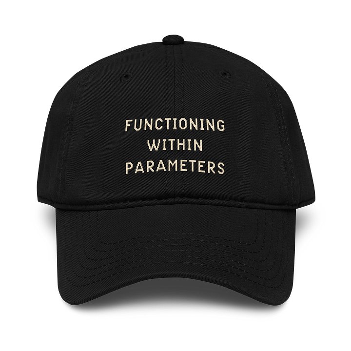 Functioning Within Parameters Hat | Chronic Illness & Spoonie Humor Cap product image (1)