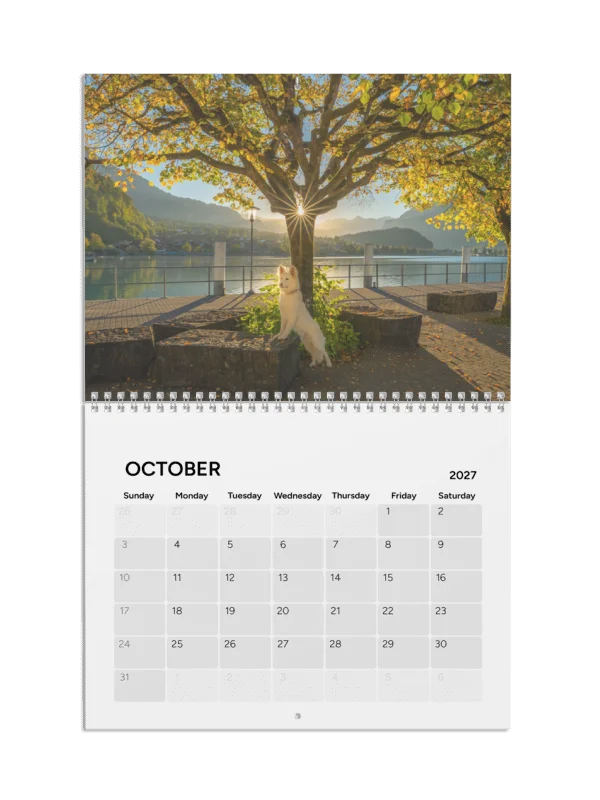 Lil Rasta Calendar 2027 product image (11)