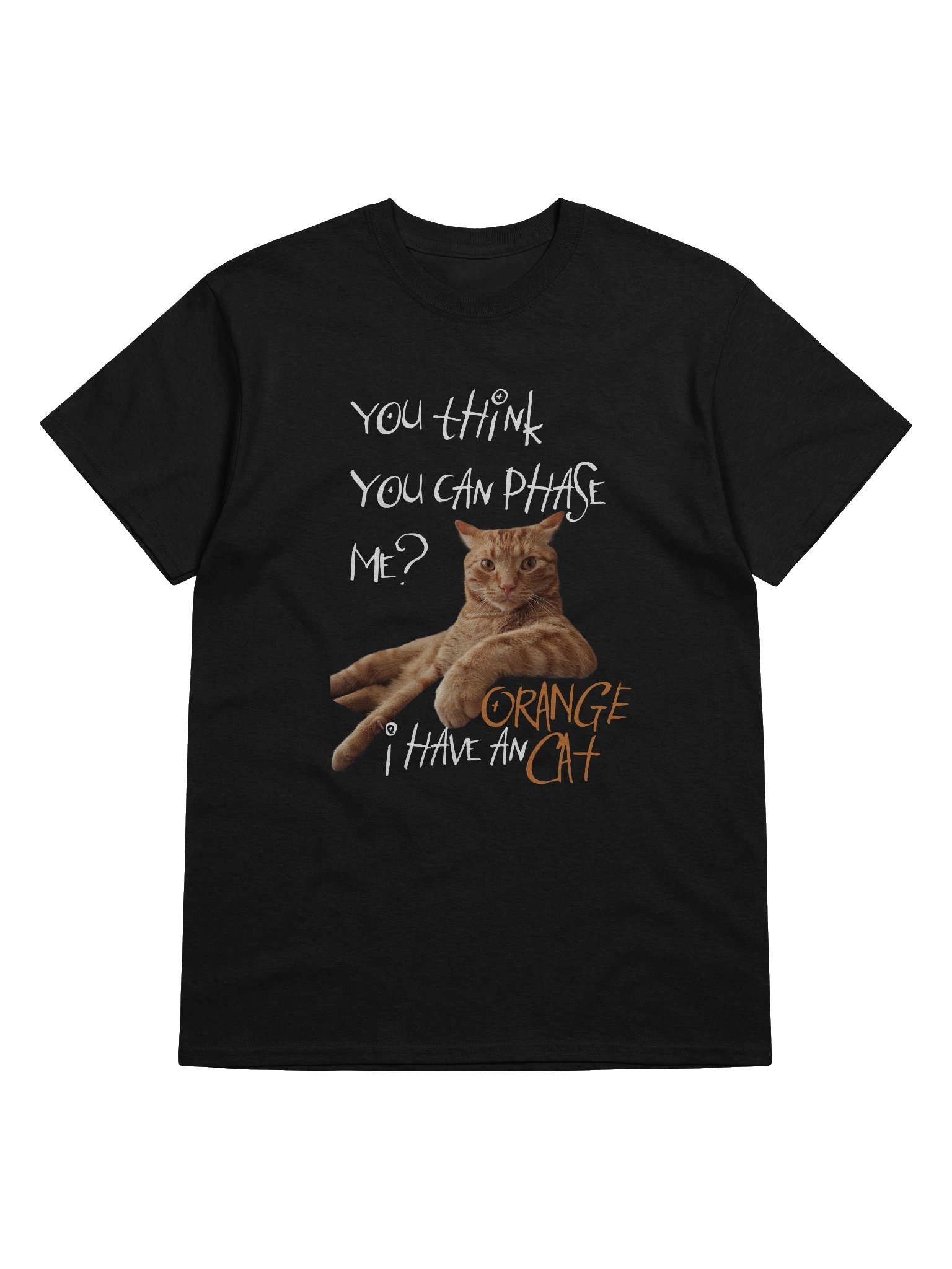 I HAVE AN ORANGE CAT TEE product image (39)