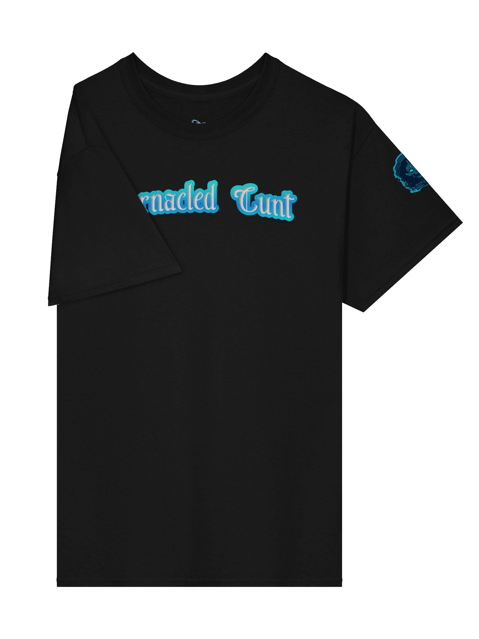 Barnacled Cunt — Gildan Heavyweight Gothic Streetwear Tee product image (24)