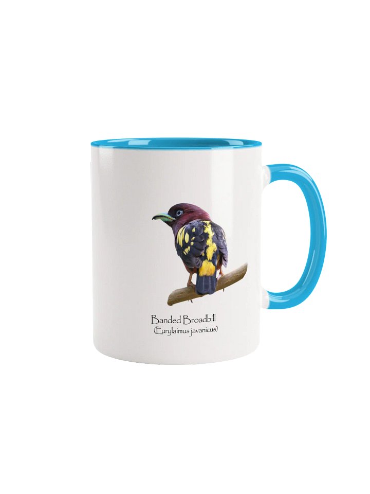 Banded Broadbill mug product image (1)