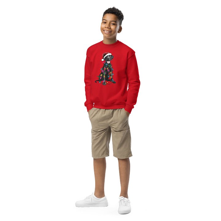 Funny Christmas Great Dane(Black) Youth Sweatshirt product image (1)