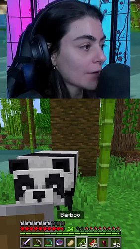 Panda eats bamboo in minecraft | #perse_goddess on #Twitch
.
.
.
#minecraft #gaming #streamer #livestream #twitch