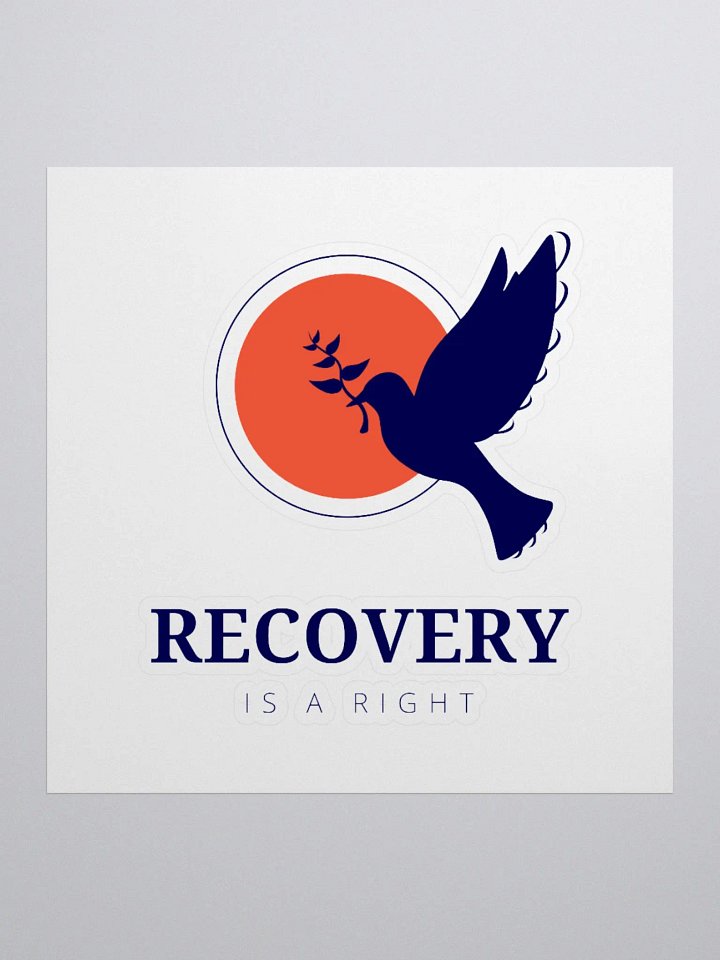 Recovery is a Right product image (2)