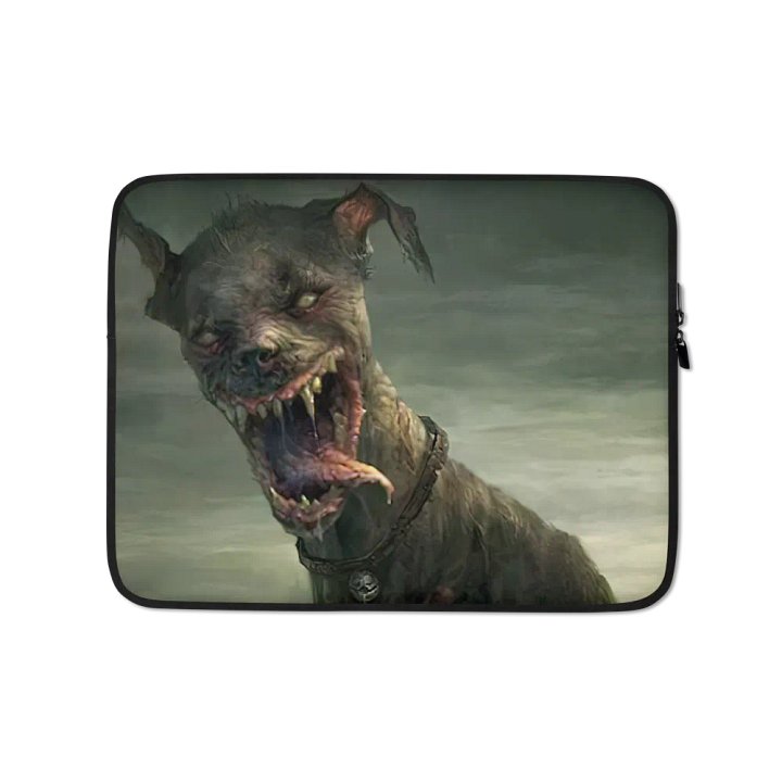 Laptop Case 