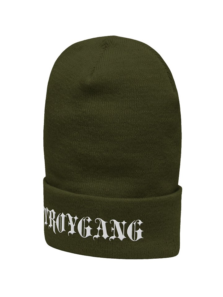 Cuffed Embroidered Beanie product image (2)