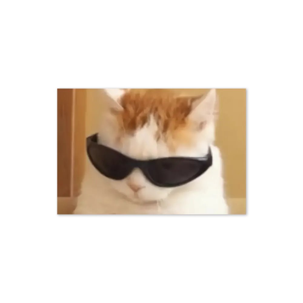 Greeting Card: Meme Cats product image (22)