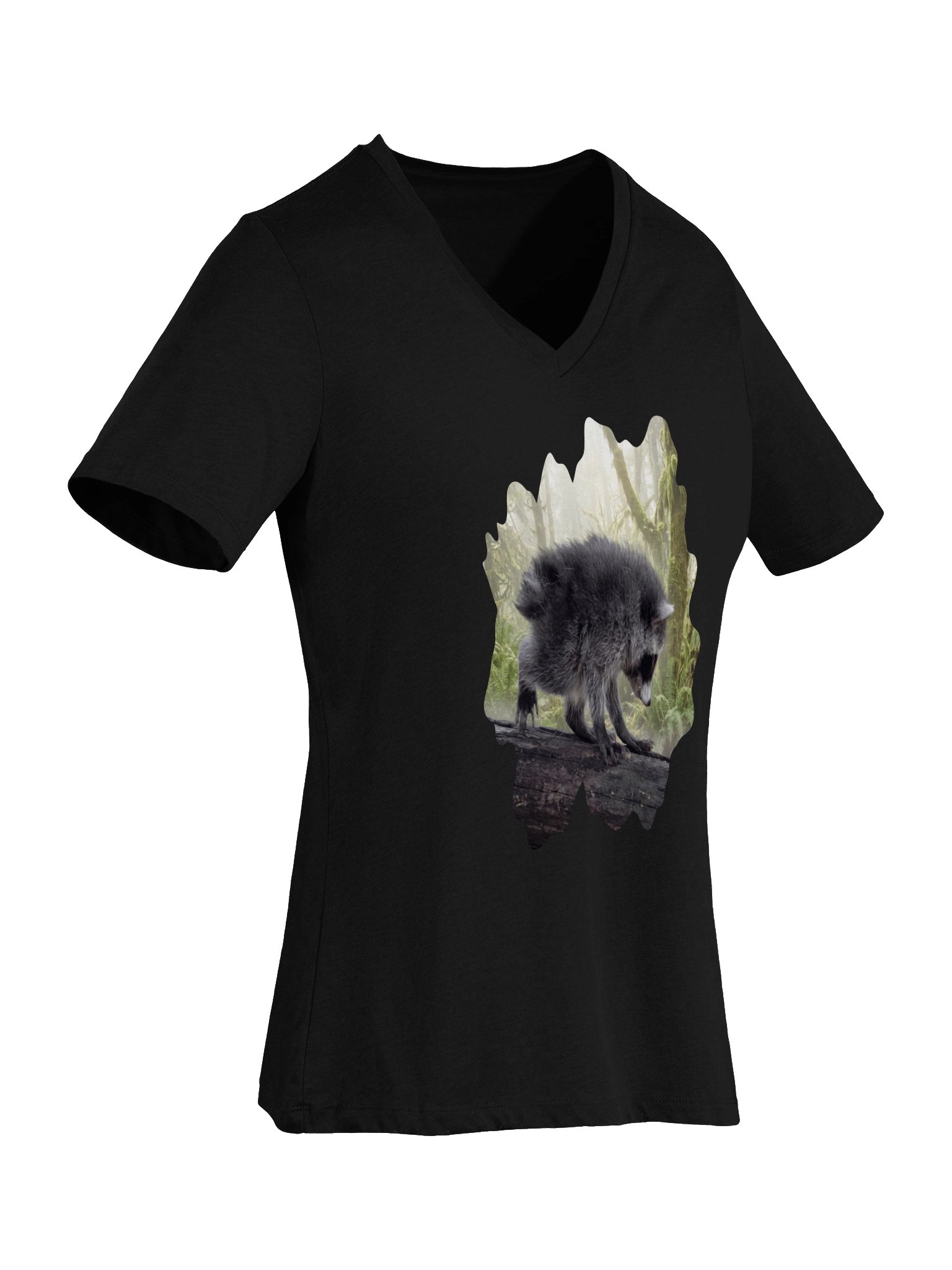 Jimothy's Morning Mist Women's V-Neck Shirt product image (3)