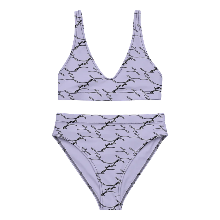 Blush Haze | High Waisted Bikini product image (2)