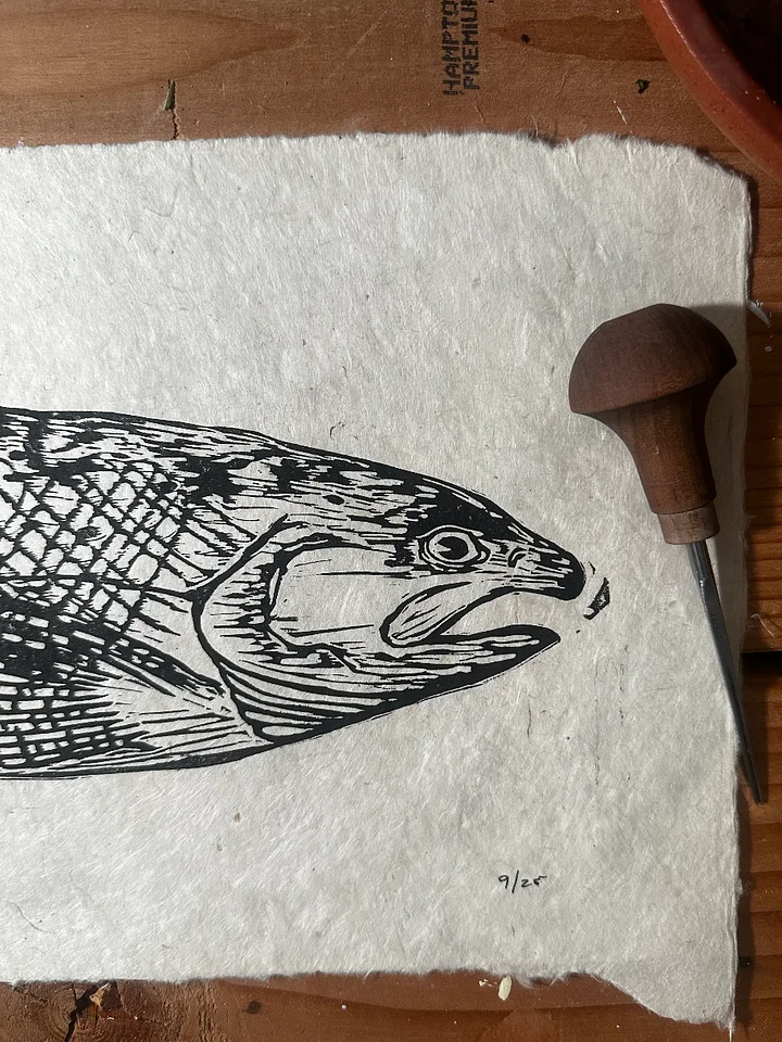 Coho product image (1)