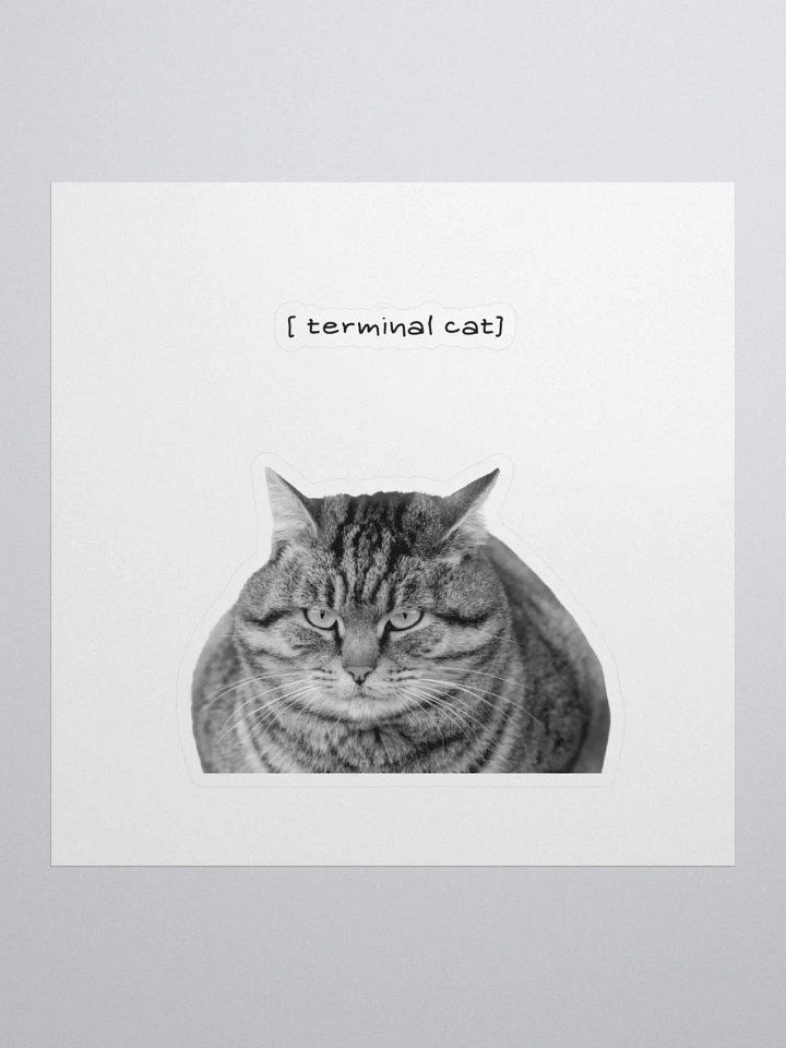 Terminal cat product image (1)