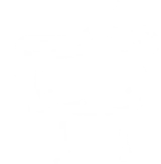 Goosly